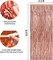 2 Pack 3.3 x 9.9 ft Rose Gold Foil Fringe Backdrop Curtain, Streamer Backdrop Curtains, Streamers Birthday Party Decorations, Tinsel Curtain for Parties, Photo Booth Backdrops, Party Décor